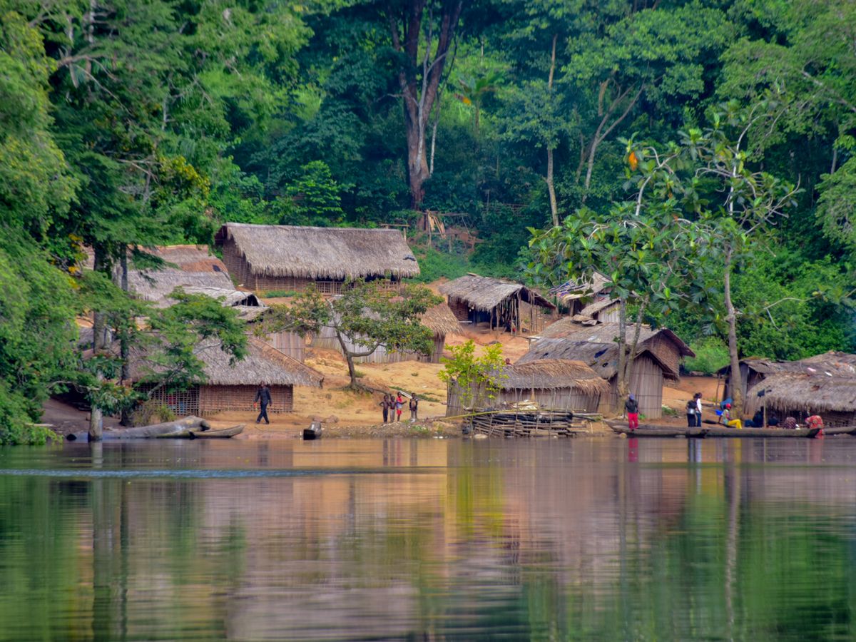 Thatched houses on the bank of a still river, surrounded by dense forest in the Democratic Republic of the Congo
