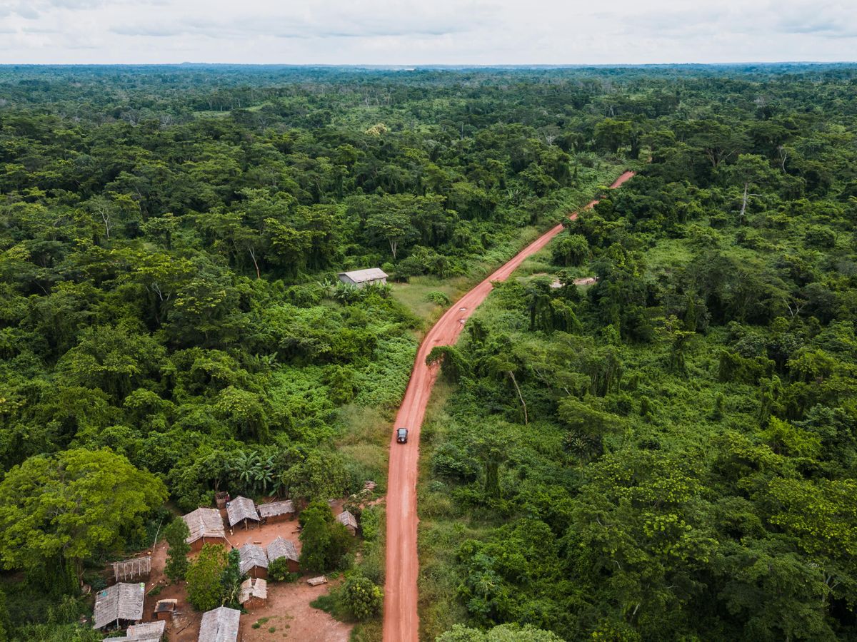 Aerial view of a red-earth road cutting through tropical forest past a small village in eastern Cameroon